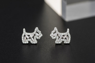 Cercei mici de dama cu pietre-doua culori