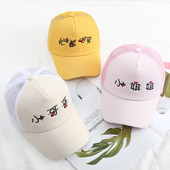 Palarie dama cu plasa in mai multe culori si vizor