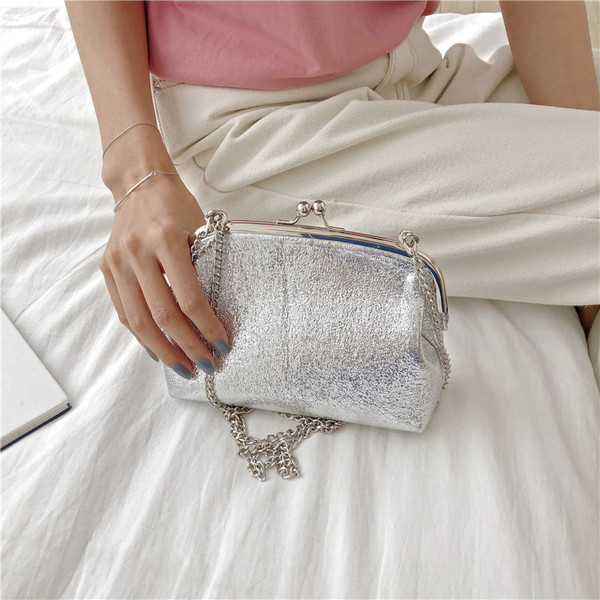 Geanta eleganta de culoare argintie