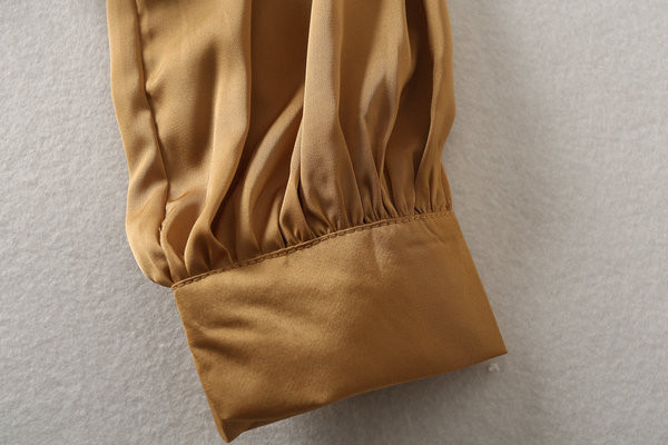 Bluză de damă modernă cu mâneci lungi de culoare maro