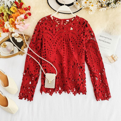 Bluză de damă elegantă cu mâneci lungi și dantelă în mai multe culori