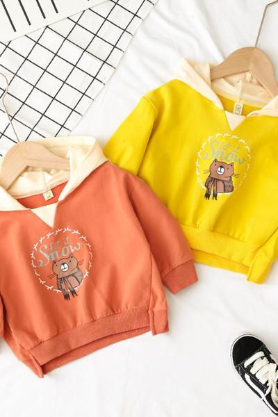 Hanorac pentru copii model nou cu aplicatie si gluga pentru baieti