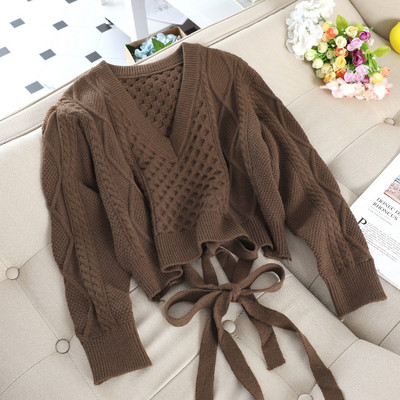 Μοντέρνο γυναικείο πουλόβερ με δεσμούς σε διάφορα χρώματα