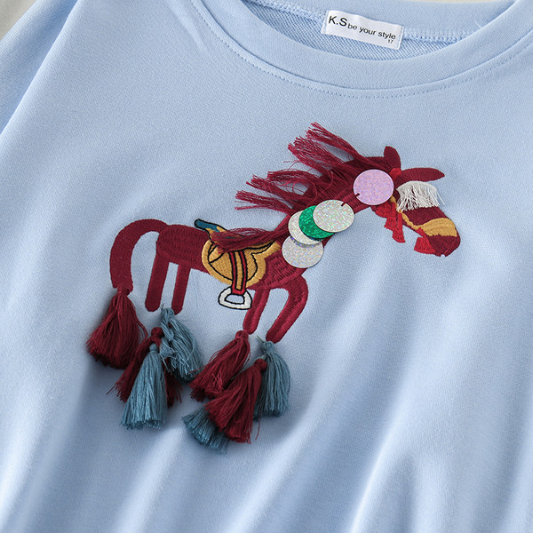 Γυναικεία μπλούζα με μακριά μανίκια και κεντήματα σε τρία χρώματα