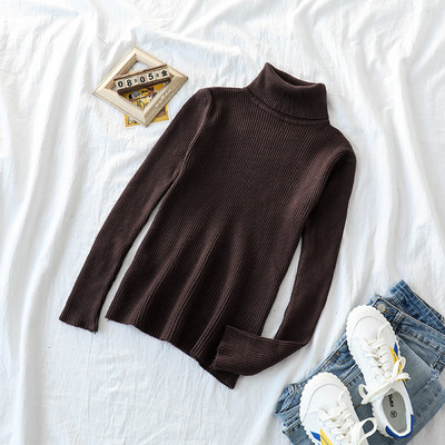 Γυναικεία πουλόβερ με ψηλό γιακά σε διάφορα χρώματα