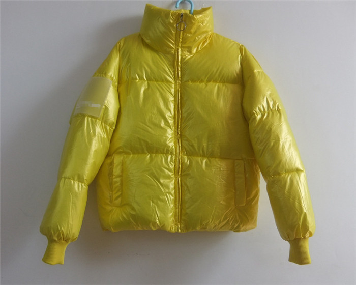 Μοντέρνο γυναικείο μπουφάν με ένα κομψό αποτέλεσμα και ένα υψηλό γιακά σε διάφορα χρώματα