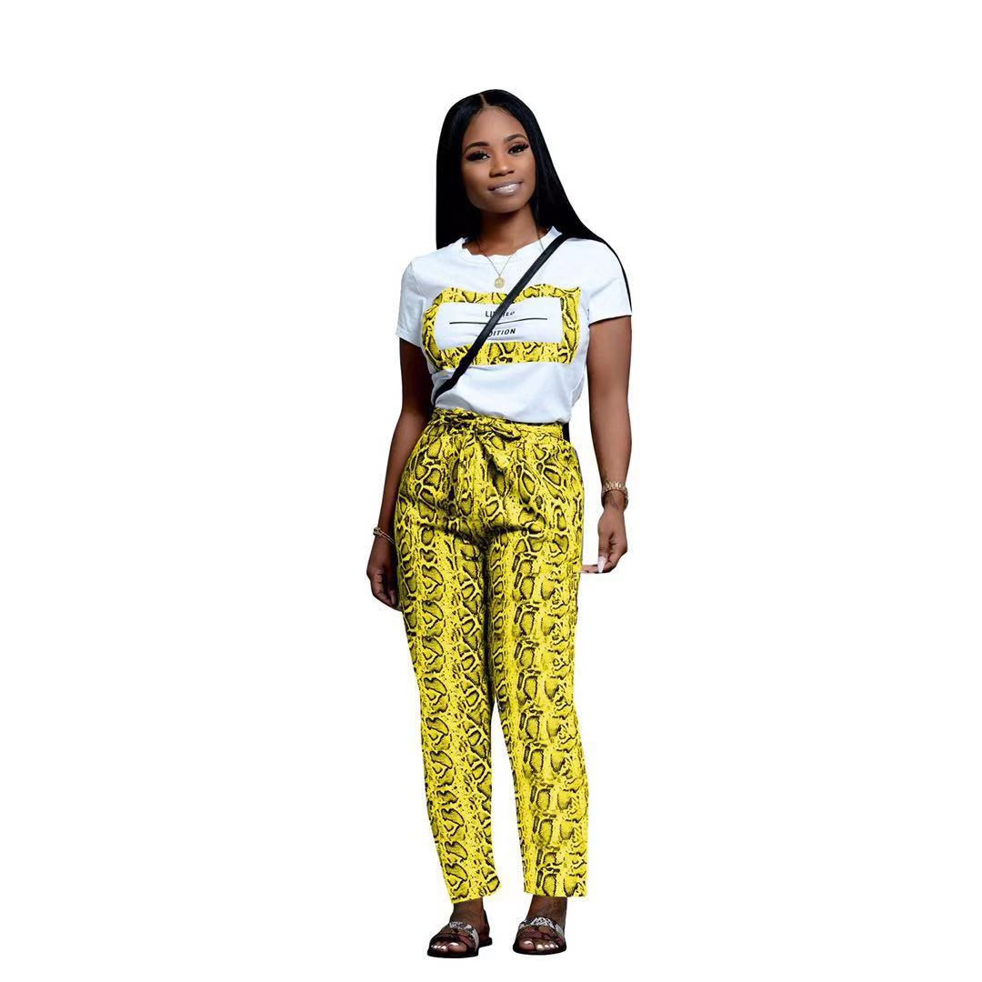 Setul modern pentru femei care include un tricou cu imprimeu și pantaloni cu model animal este de mai multe culori