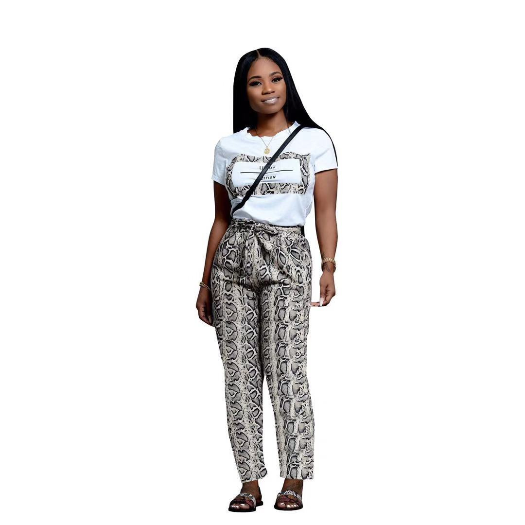 Setul modern pentru femei care include un tricou cu imprimeu și pantaloni cu model animal este de mai multe culori