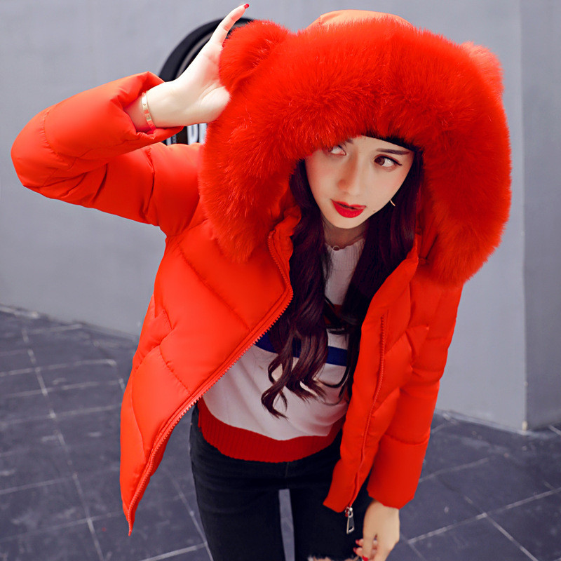 Geaca scurta casual de dama cu puf in mai multe culori