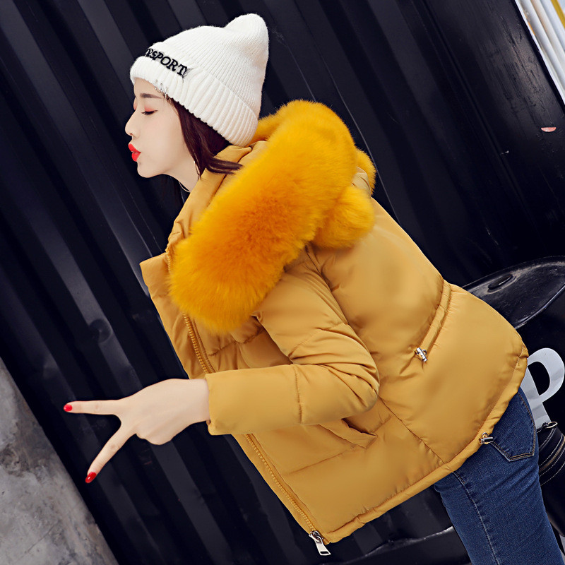 Geaca scurta casual de dama cu puf in mai multe culori