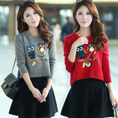 Pulover de dama in diferite culori si aplicatii