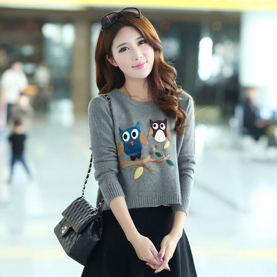 Pulover de dama in diferite culori si aplicatii