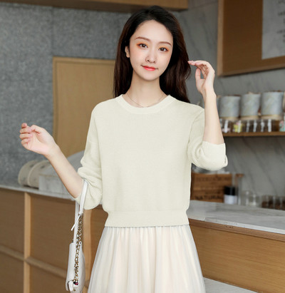 Καθημερινό γυναικείο πουλόβερ με μακρύ μανίκι και O-λαιμόκοψη