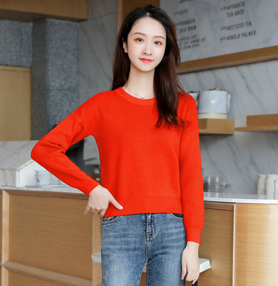 Καθημερινό γυναικείο πουλόβερ με μακρύ μανίκι και O-λαιμόκοψη