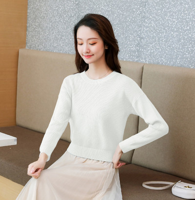 Καθημερινό γυναικείο πουλόβερ με μακρύ μανίκι και O-λαιμόκοψη