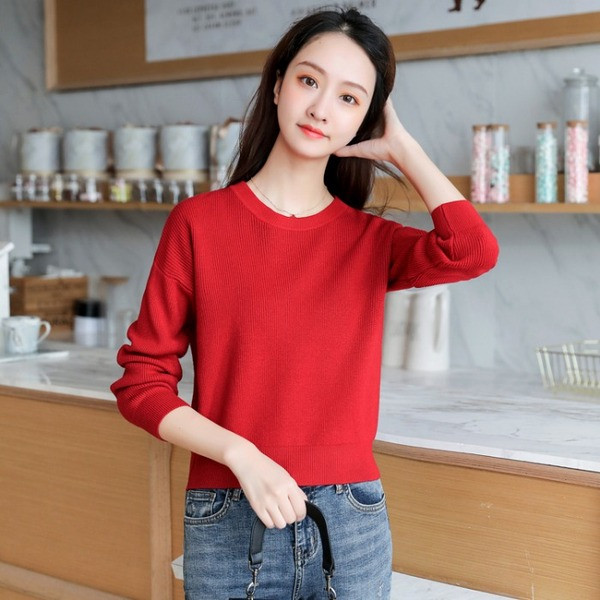 Καθημερινό γυναικείο πουλόβερ με μακρύ μανίκι και O-λαιμόκοψη