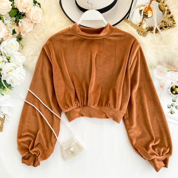 Stílusos női bársony blúz több színben