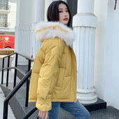 Modern női kabát zsebekkel, többféle színben