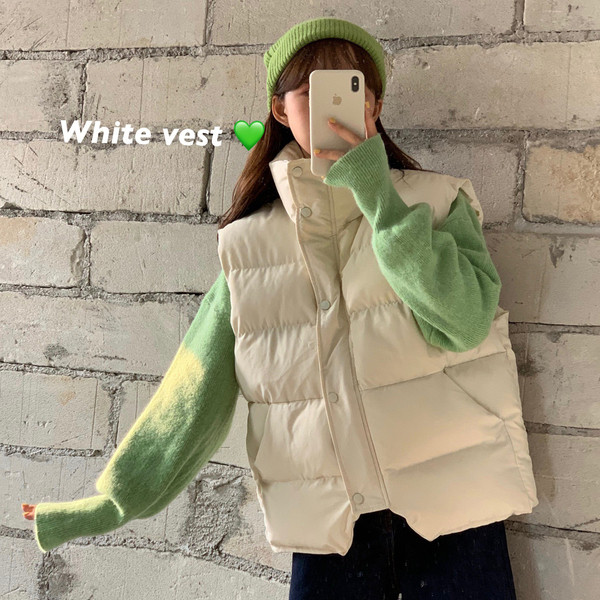 Vesta de actualitate dama cu guler inalt in doua culori