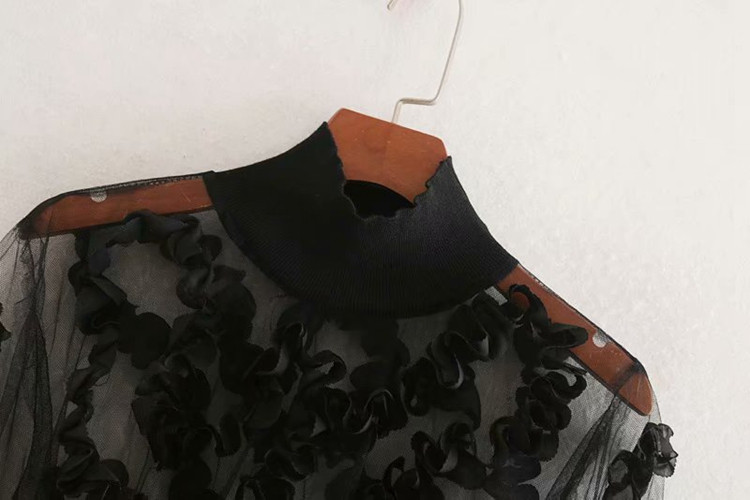 Γυναικεία διαφανή  μπλούζα από τούλι σε μαύρο χρώμα με ψηλό γιακά