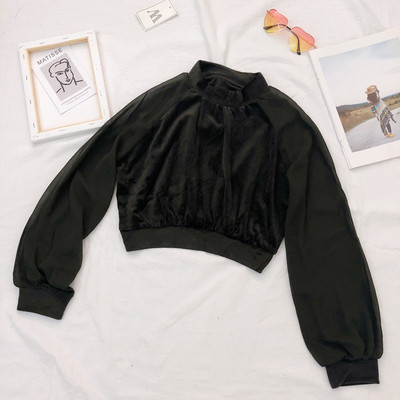 Bluză de damă elegantă din catifea, cu mâneci lungi și decolteu oval