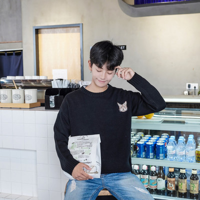 Мъжки пуловер с бродерия в бял, черен и сив цвят