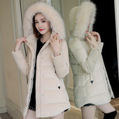 Modern női bársony kabát kapucnival több színben