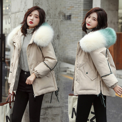 Χειμερινό μοντέλο γυναικείο μπουφάν με κουκούλα σε πέντε χρώματα