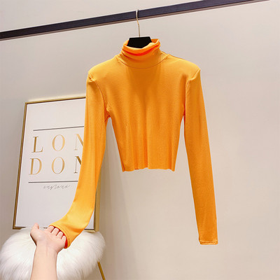 Γυναικεία μπλούζα με ψηλό γιακά σε διάφορα χρώματα