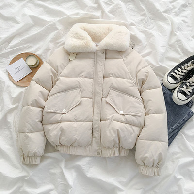 Γυναικείο χειμωνιάτικο μπουφάν με μεγάλη περιλαίμιο και απαλή επένδυση