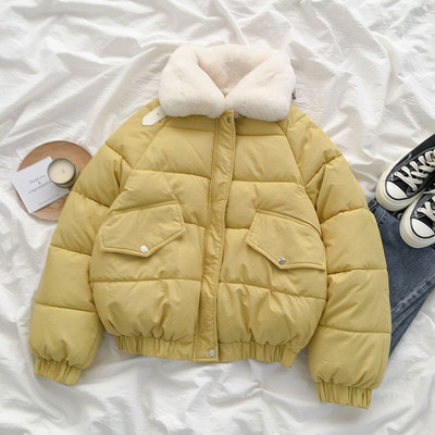 Γυναικείο χειμωνιάτικο μπουφάν με μεγάλη περιλαίμιο και απαλή επένδυση