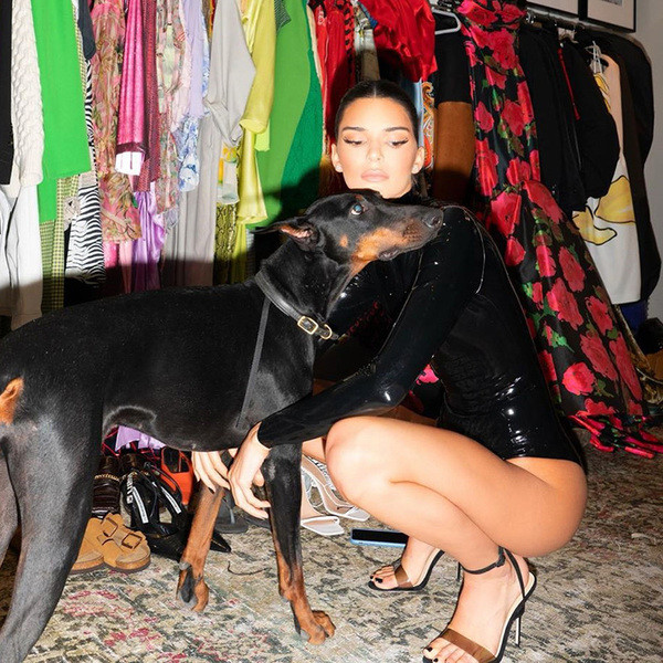 Model nou de body dama cu guler polo de culoare neagra