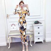 Set de damă de bluză mulată și fustă lungă