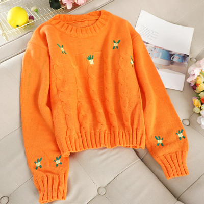 Pulover de dama cu broderie si decolteu rotund in mai multe culori