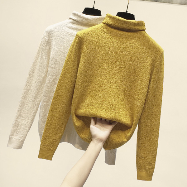 Γυναικείο πουλόβερ με ψηλό γιακά και μακρύ μανίκι σε διάφορα χρώματα