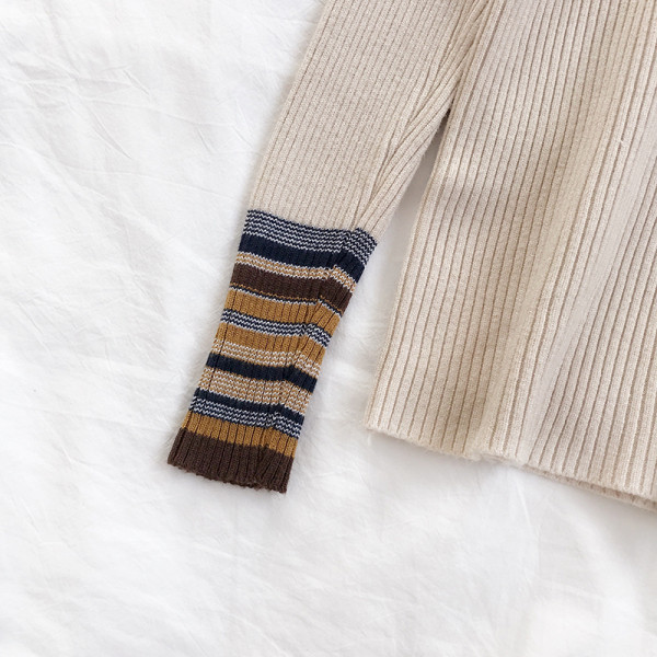 Μοντέρνο γυναικείο πουλόβερ των γυναικών σε διάφορα χρώματα με υψηλό γιακά