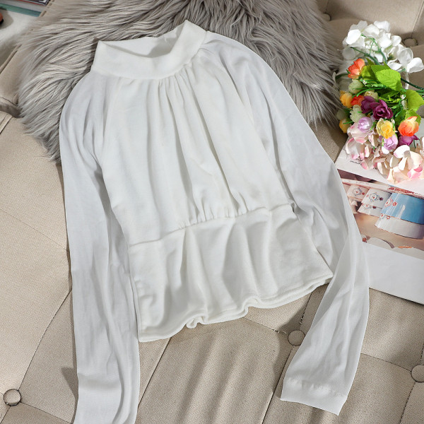 Μοντέρνα μπλούζα από βελούδο με ψηλό γιακά και μακριά μανίκια σε διάφορα χρώματα