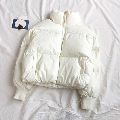 Geaca casual de dama in cinci culori cu guler inalt si buzunare