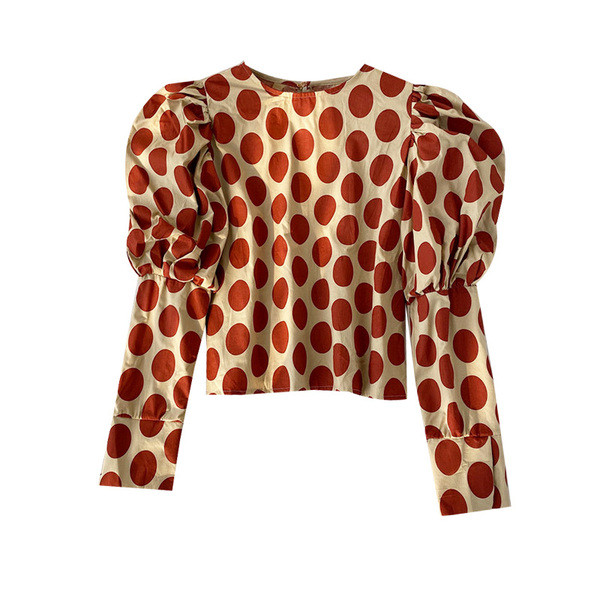 Bluză de damă modernă cu decolteu oval și mâneci bufante în două culori