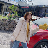 Geaca de iarna de dama cu fermoar si gluga in bej, roz, verde si negru