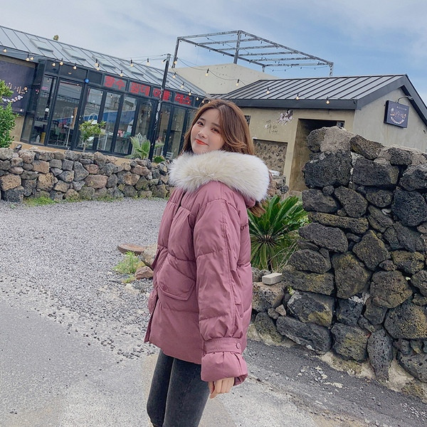 Geaca de iarna de dama cu fermoar si gluga in bej, roz, verde si negru