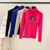 Γυναικείο πουλόβερ με ψηλό κολάρο, εκτύπωση και κεντήματα σε ροζ, μπλε, μπεζ και μαύρο χρώμα