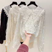 Cămașă de damă din catifea cu guler din dantelă în negru, alb și bej