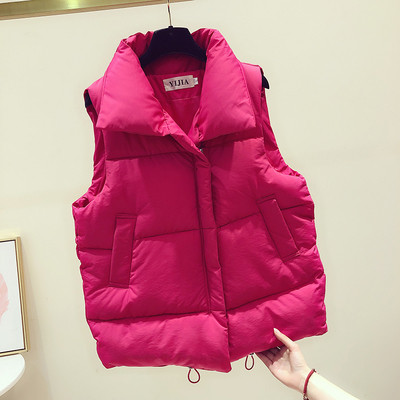 Vesta de dama toamna-iarna in roz, albastru, negru si bej