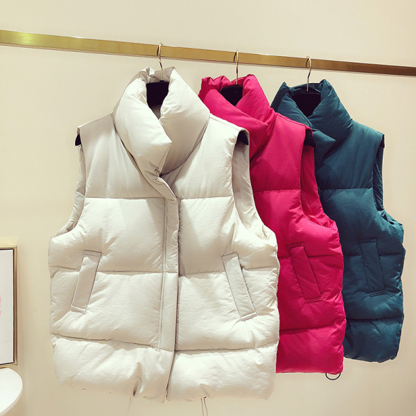 Vesta de dama toamna-iarna in roz, albastru, negru si bej