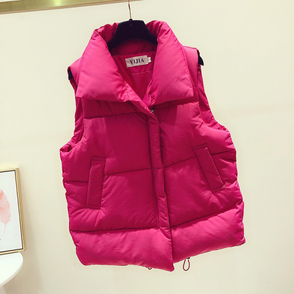 Vesta de dama toamna-iarna in roz, albastru, negru si bej