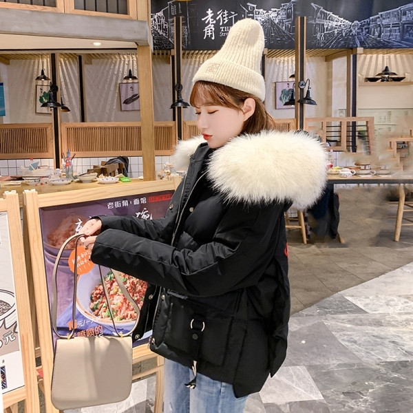 NOU Jachetă de iarnă de damă modernă cu broderie pe spate și în jos pe glugă în alb, galben, negru și verde