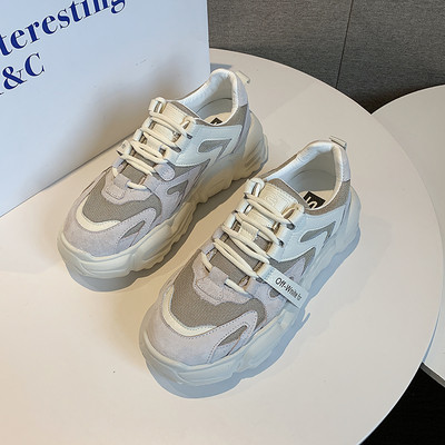 Moodsad kareda tallaga naiste sporditossud